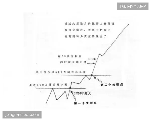 卡马文加关键战中的战术价值与表现上限解析 卡马文加关键战中的战术价值与表现上限解析